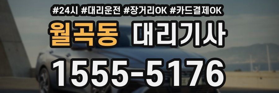 월곡동 대리기사