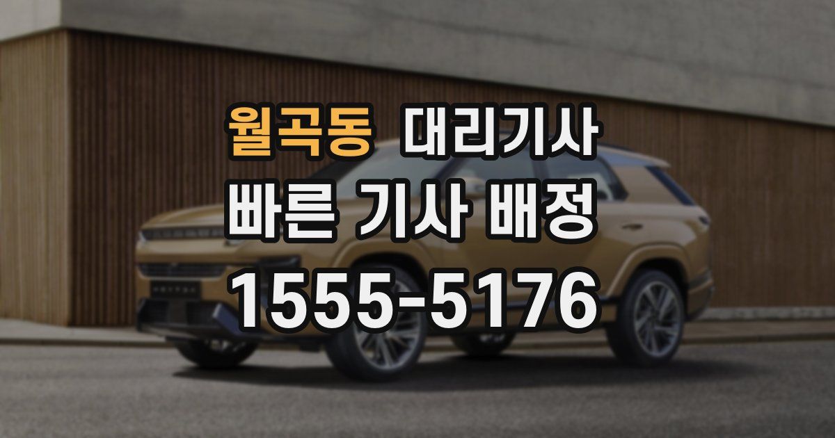월곡동 대리기사