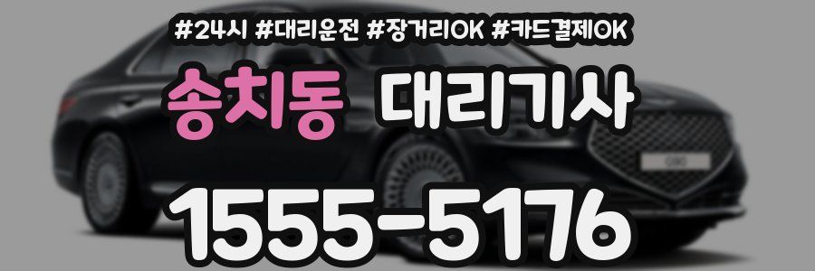 송치동 대리기사