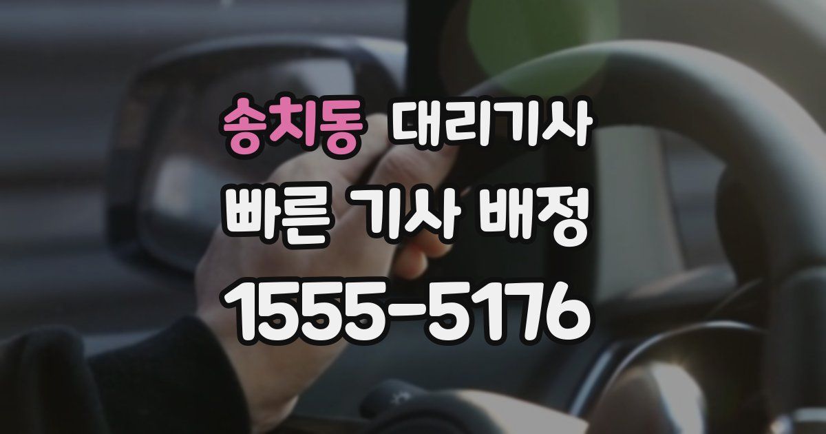 송치동 대리기사
