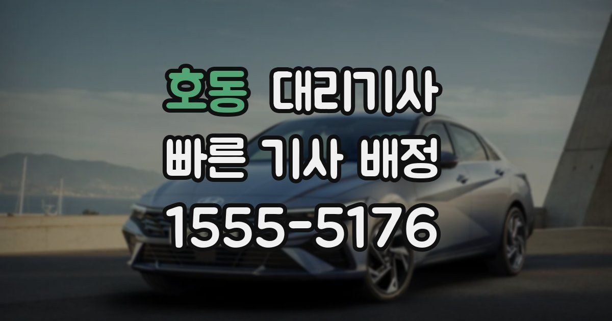 호동 대리기사