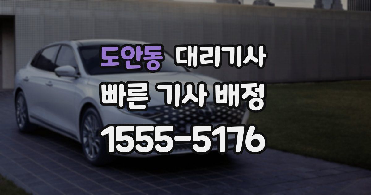 도안동 대리기사