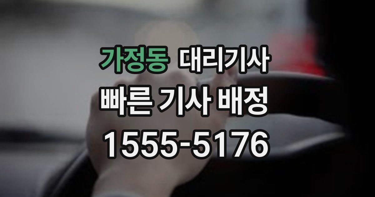 가정동 대리기사
