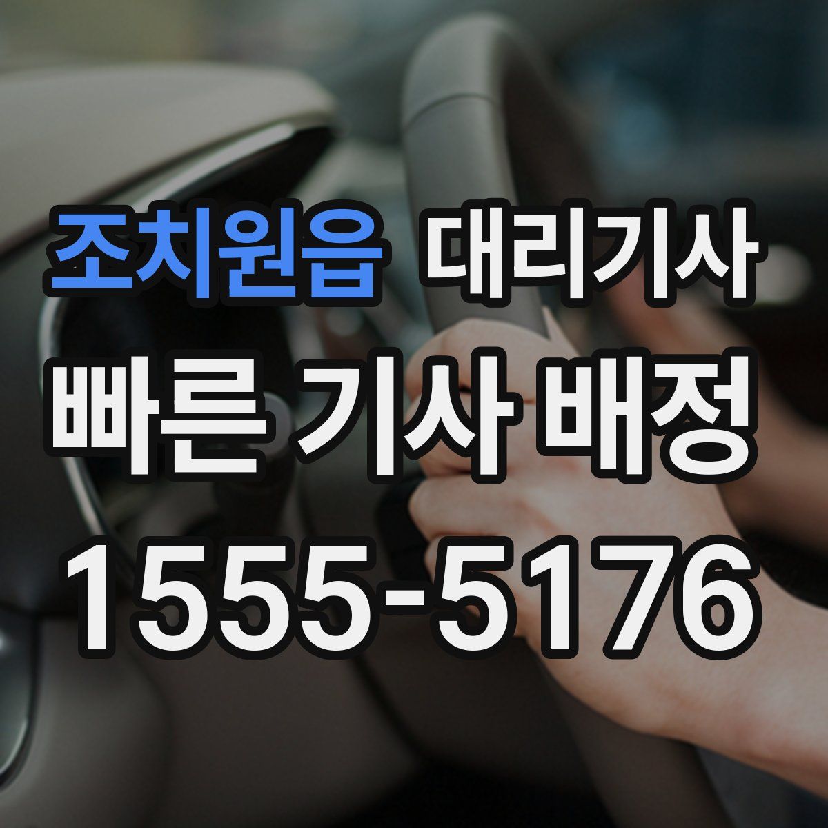 조치원읍 대리기사
