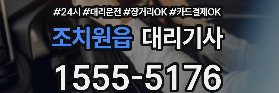 조치원읍 대리기사