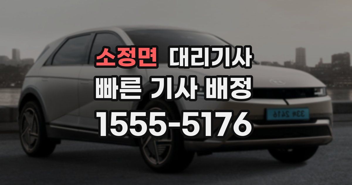 소정면 대리기사