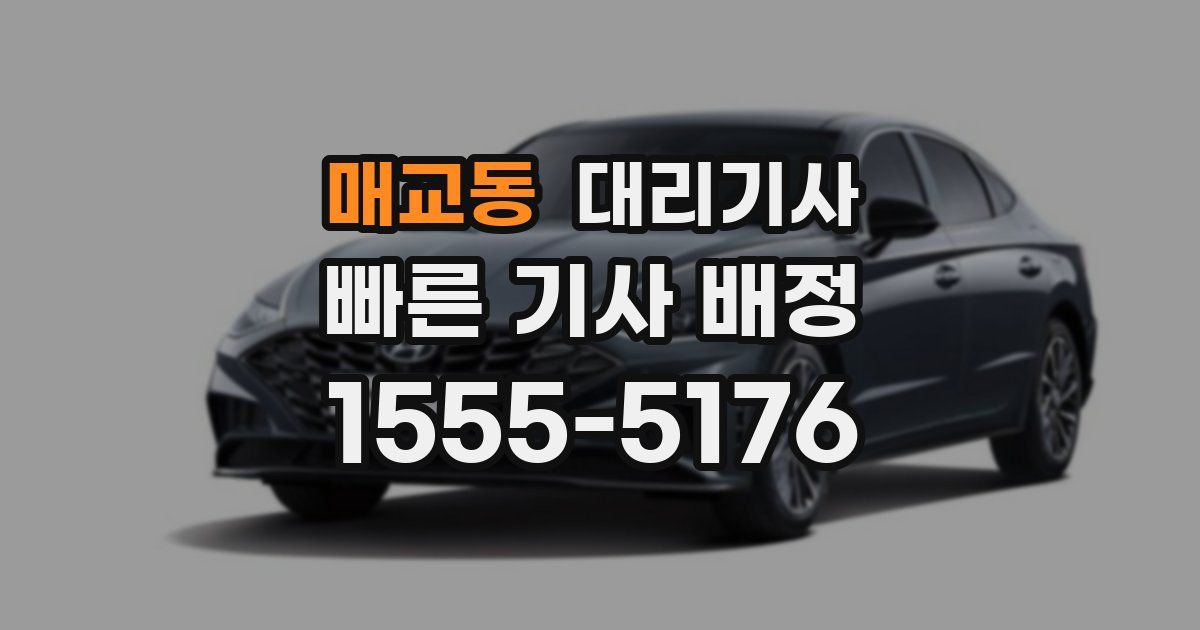 매교동 대리기사