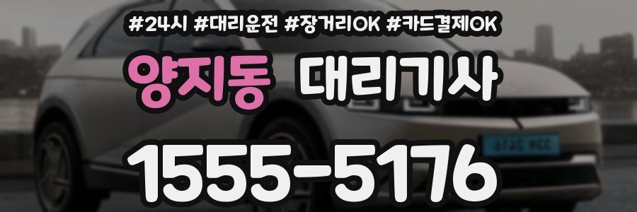 양지동 대리기사