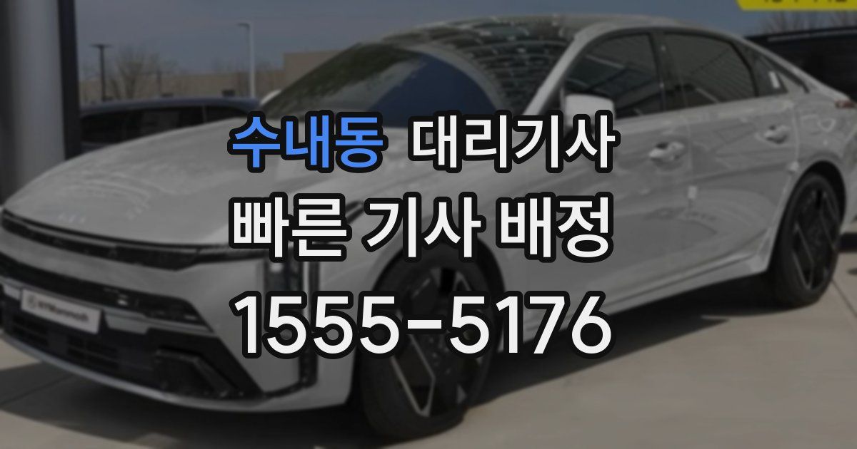 수내동 대리기사