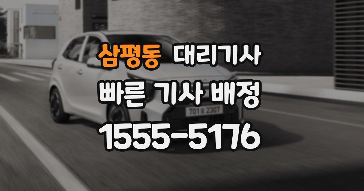 삼평동 대리기사