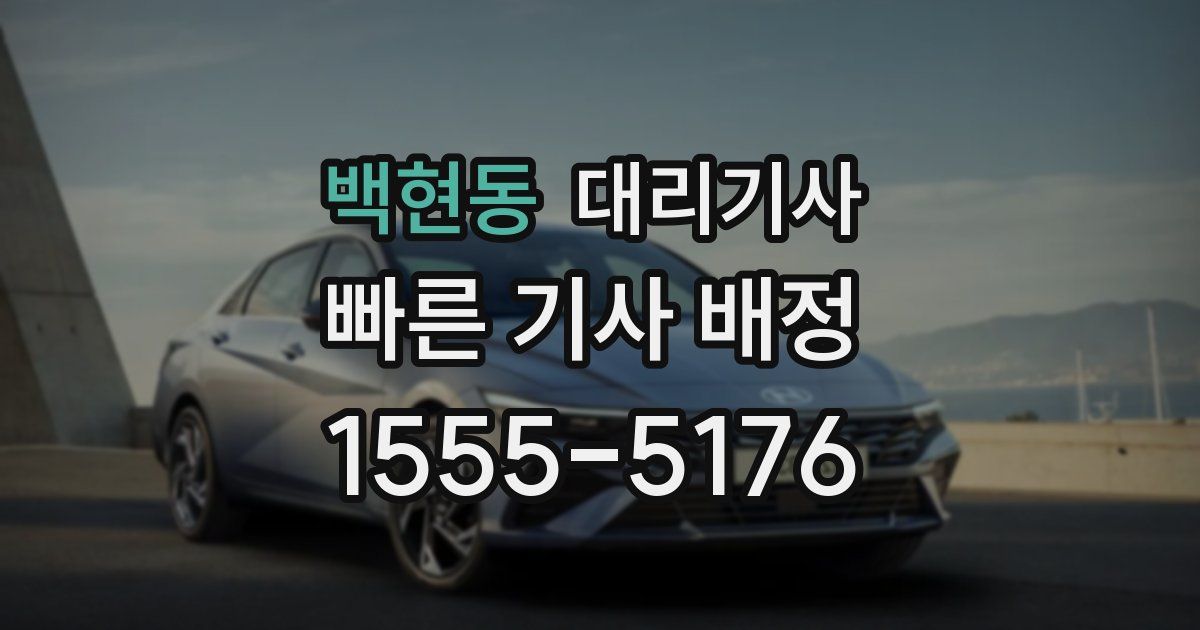 백현동 대리기사
