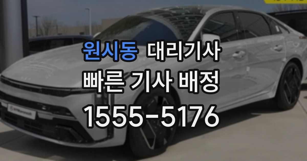 원시동 대리기사