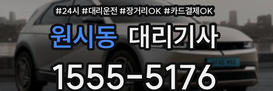 원시동 대리기사