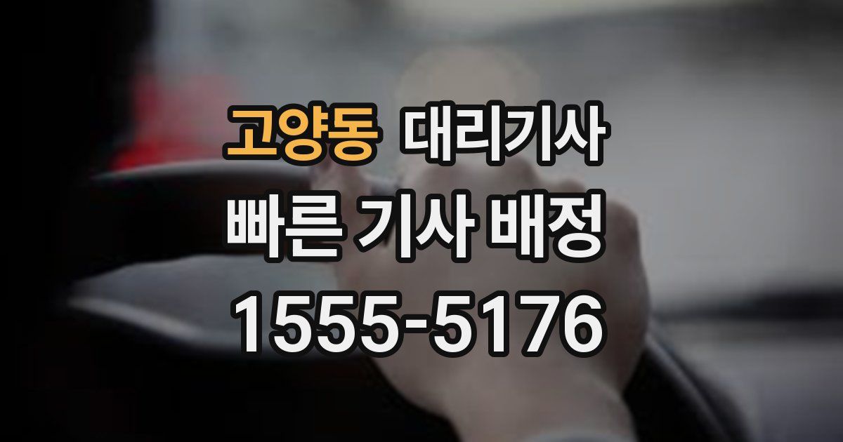 고양동 대리기사