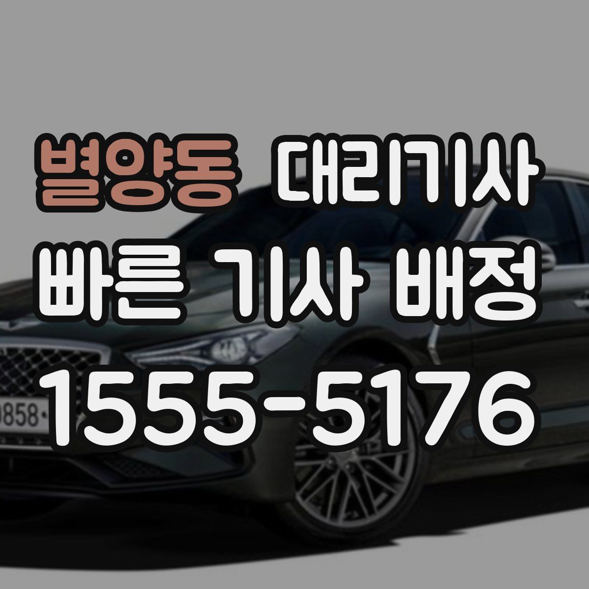 별양동 대리기사