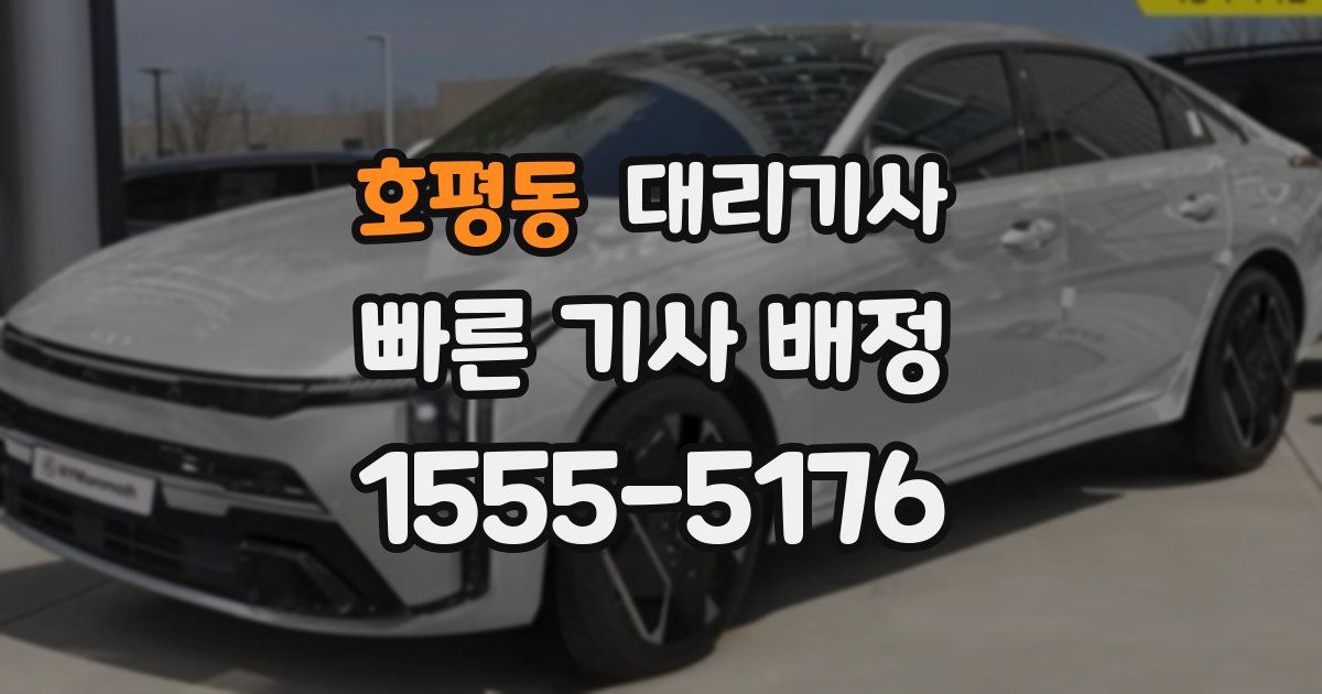 호평동 대리기사