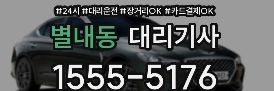 별내동 대리기사
