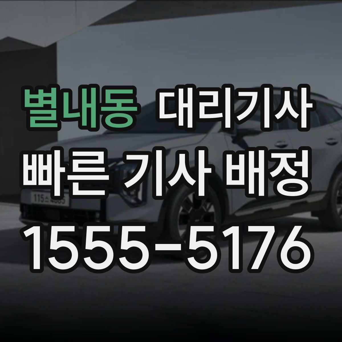 별내동 대리기사