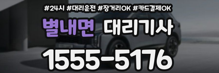 별내면 대리기사