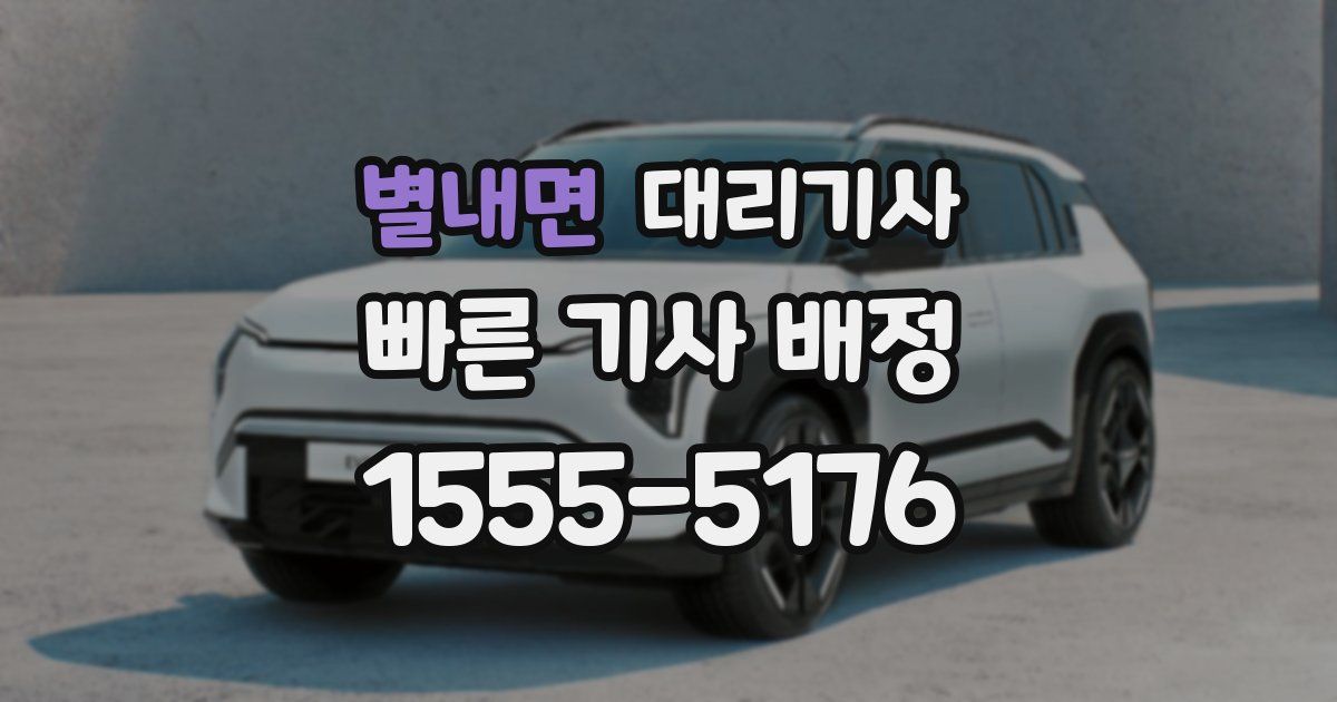 별내면 대리기사
