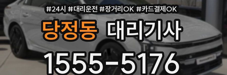 당정동 대리기사