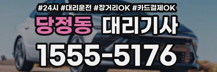 당정동 대리기사