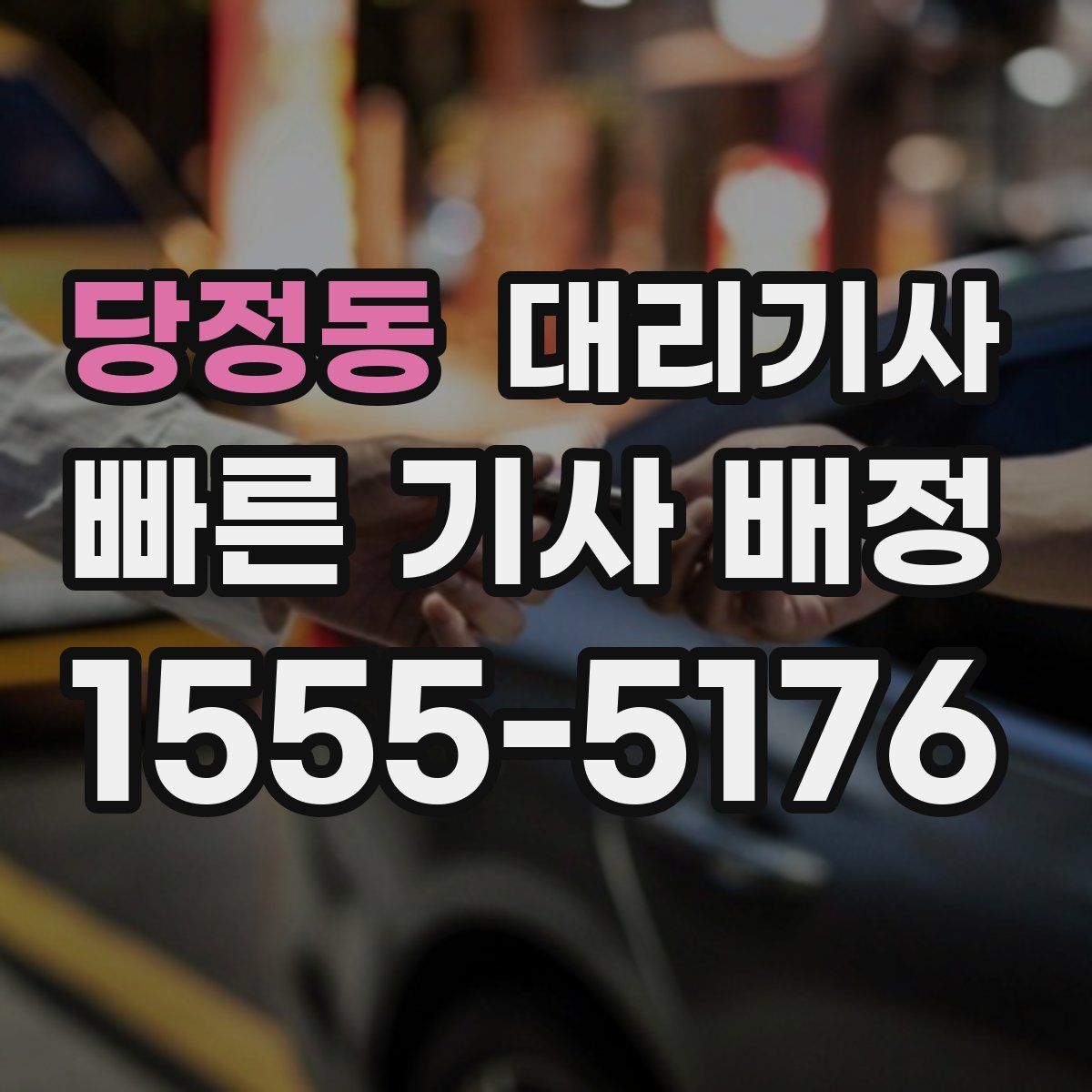 당정동 대리기사