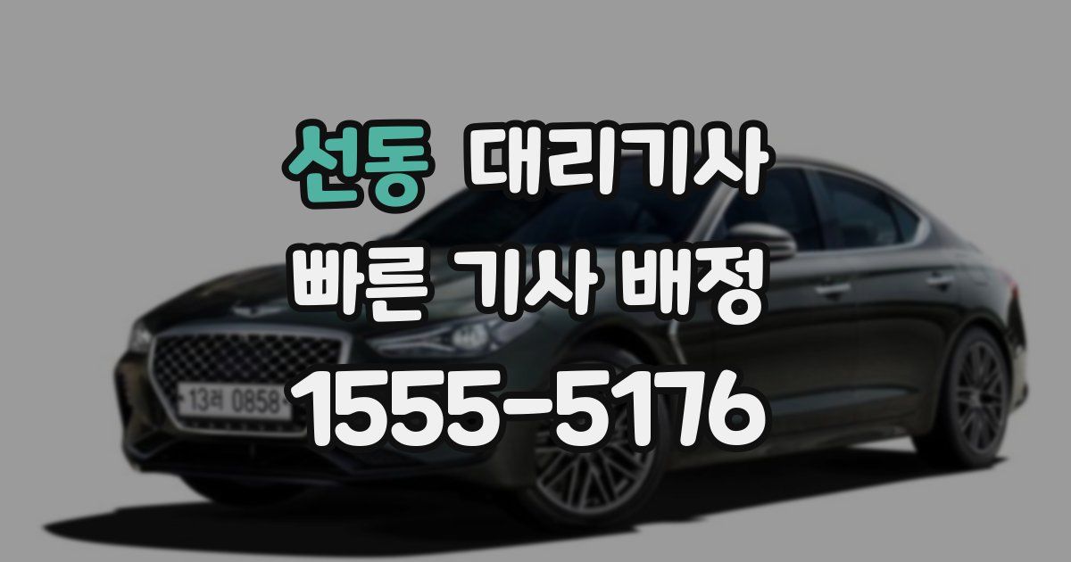 선동 대리기사