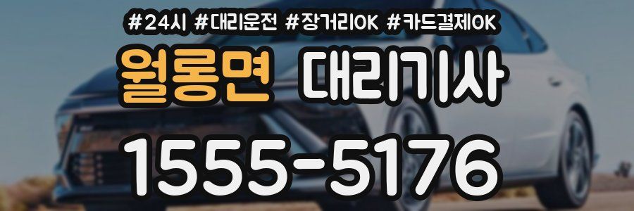월롱면 대리기사