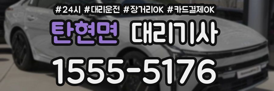 탄현면 대리기사
