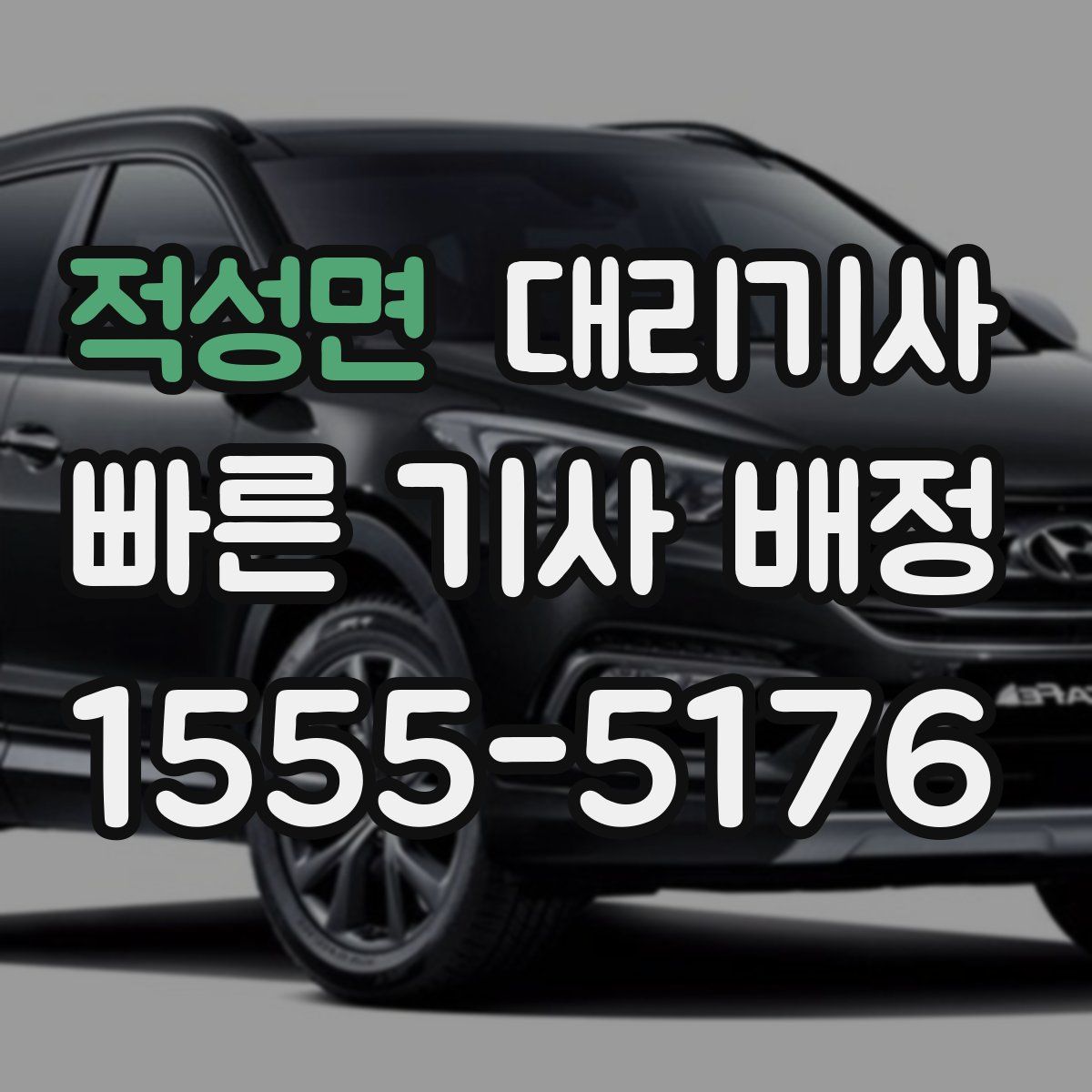 적성면 대리기사
