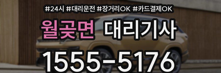 월곶면 대리기사