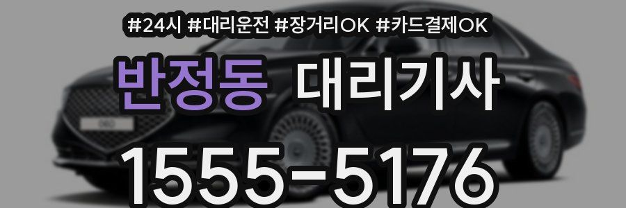 반정동 대리기사