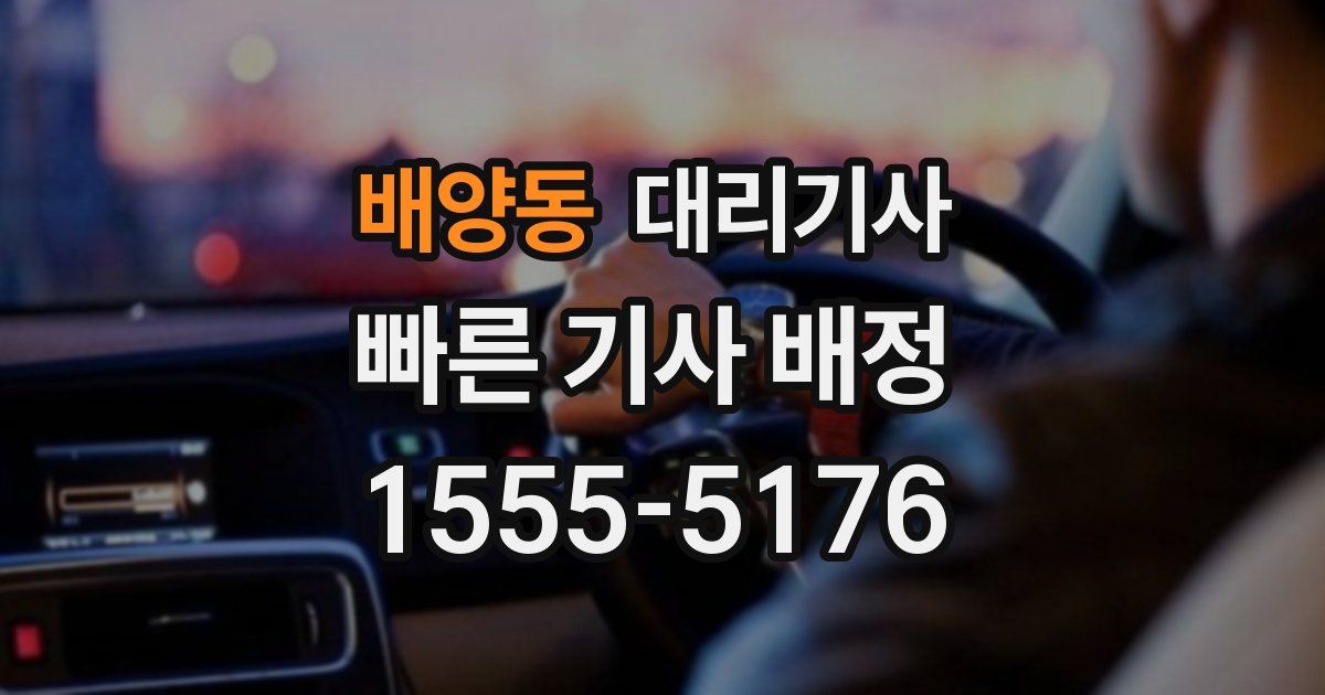 배양동 대리기사