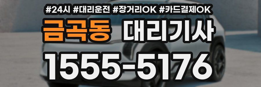 금곡동 대리기사