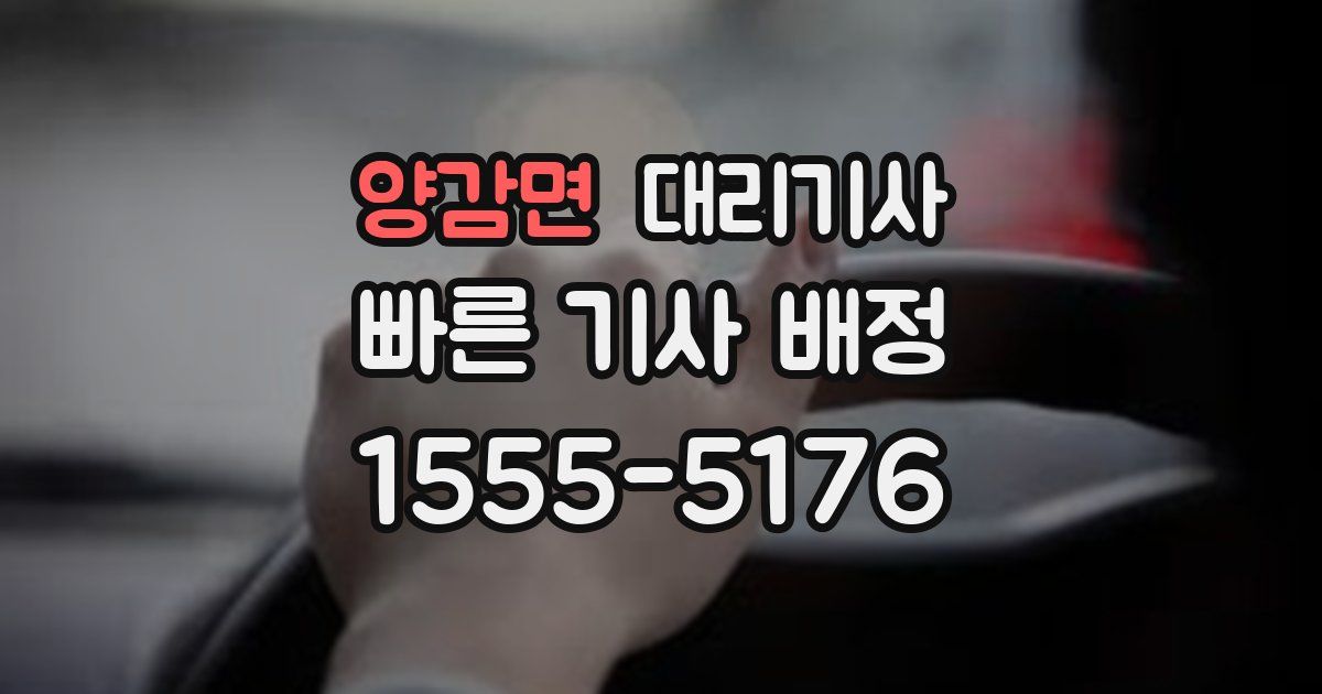 양감면 대리기사