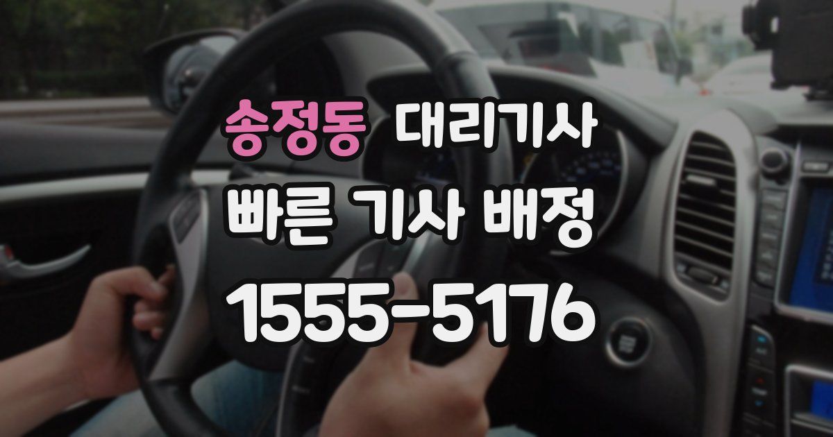 송정동 대리기사