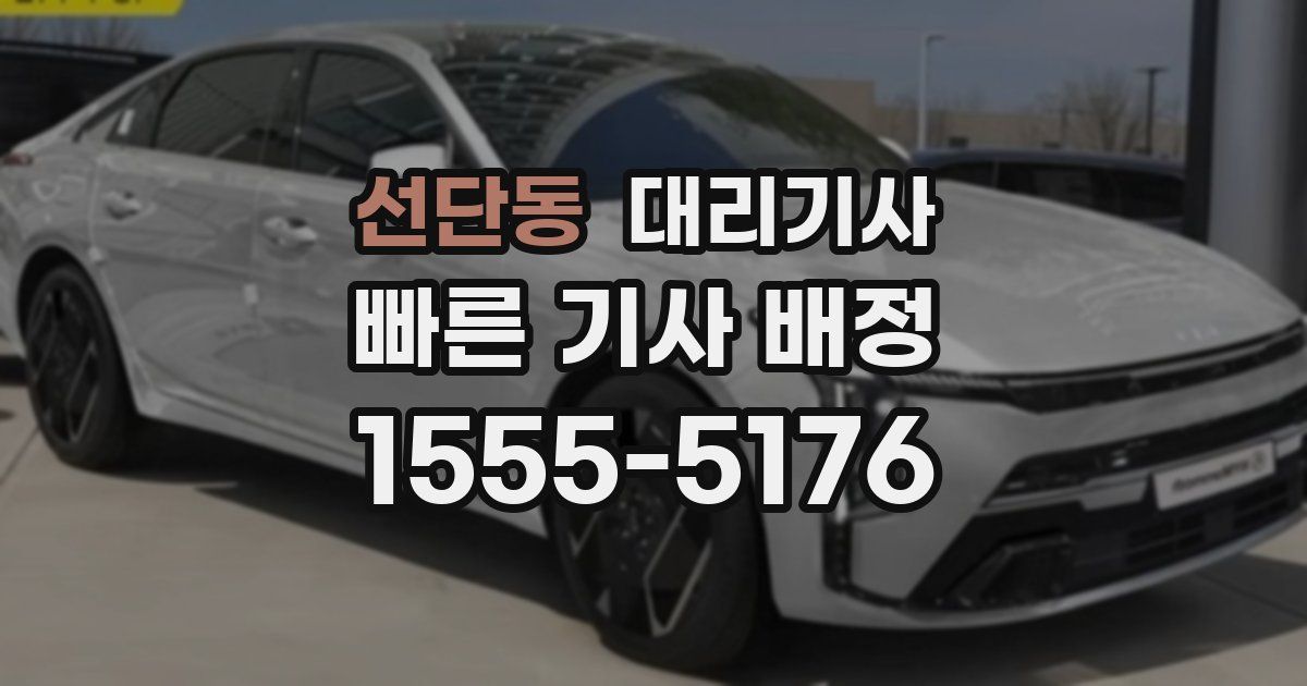 선단동 대리기사
