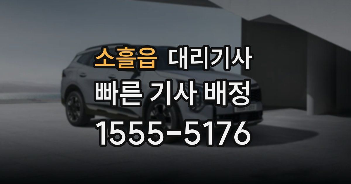 소흘읍 대리기사