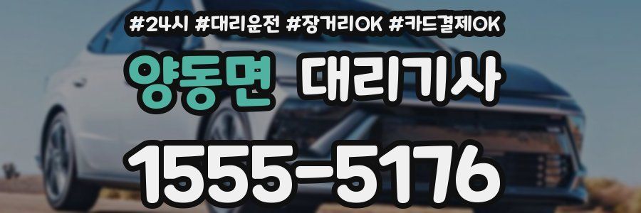 양동면 대리기사