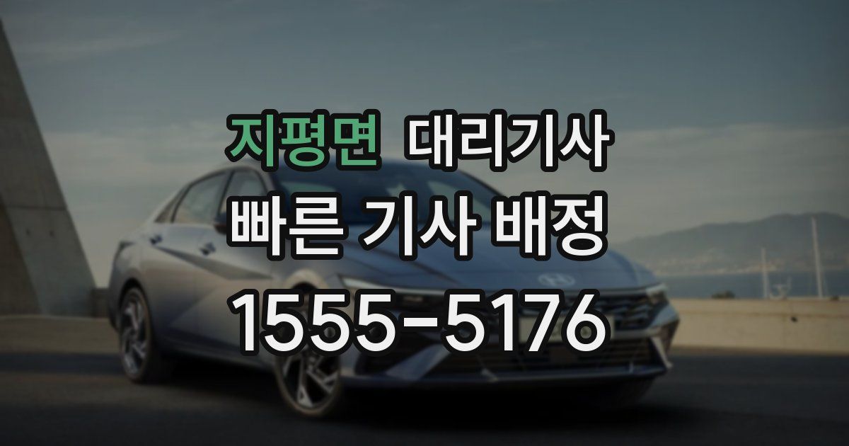 지평면 대리기사