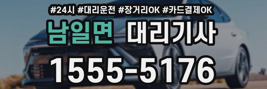 남일면 대리기사