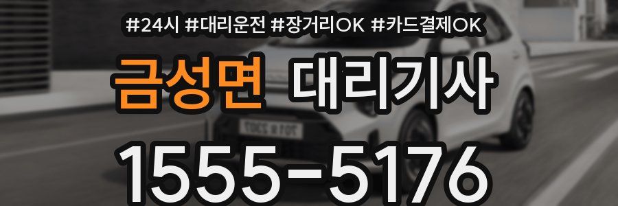 금성면 대리기사