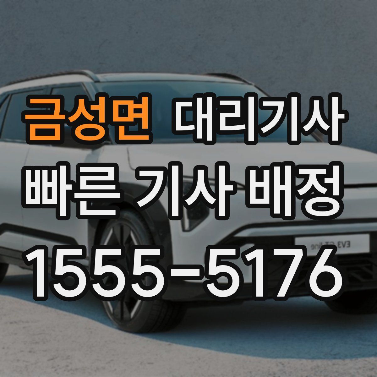 금성면 대리기사