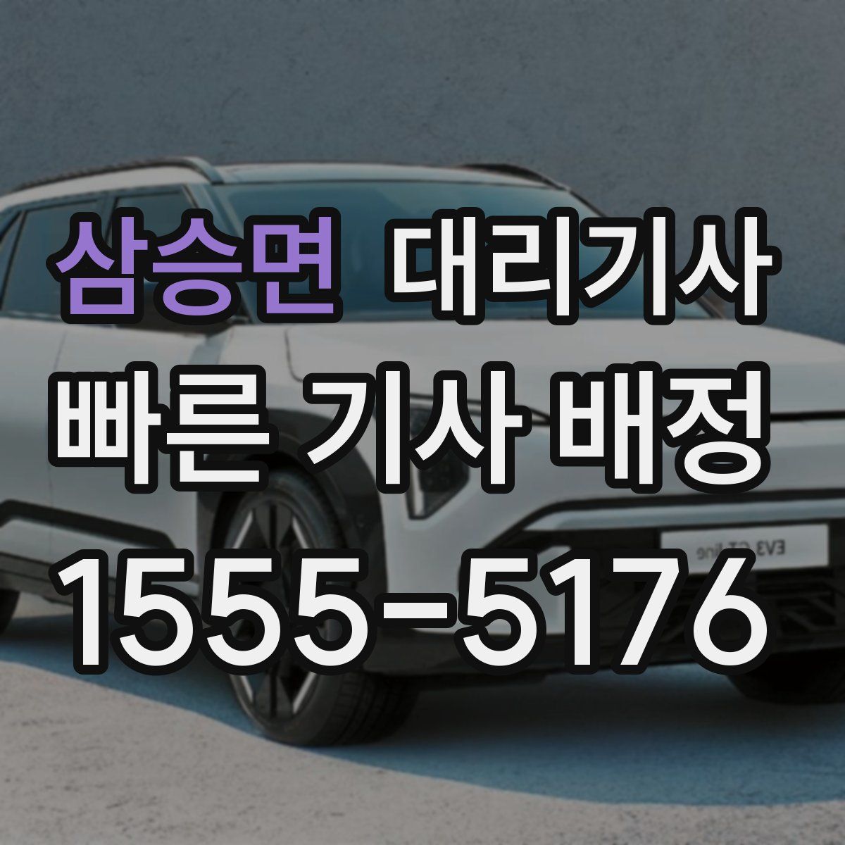 삼승면 대리기사