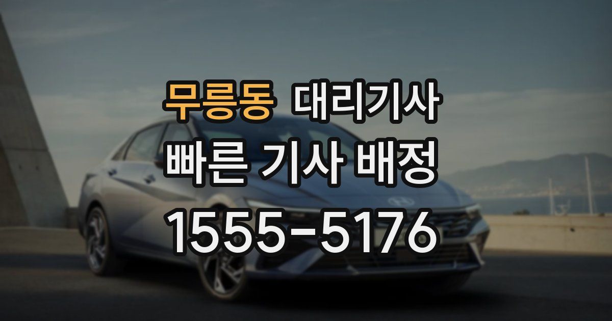 무릉동 대리기사