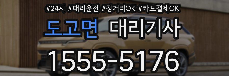 도고면 대리기사