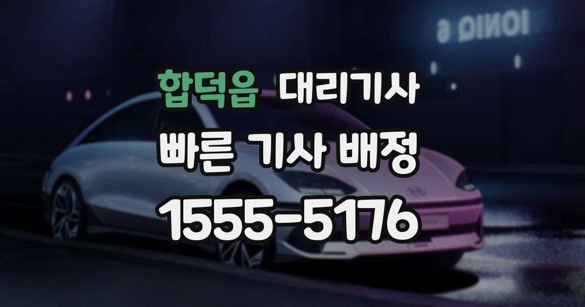 합덕읍 대리기사