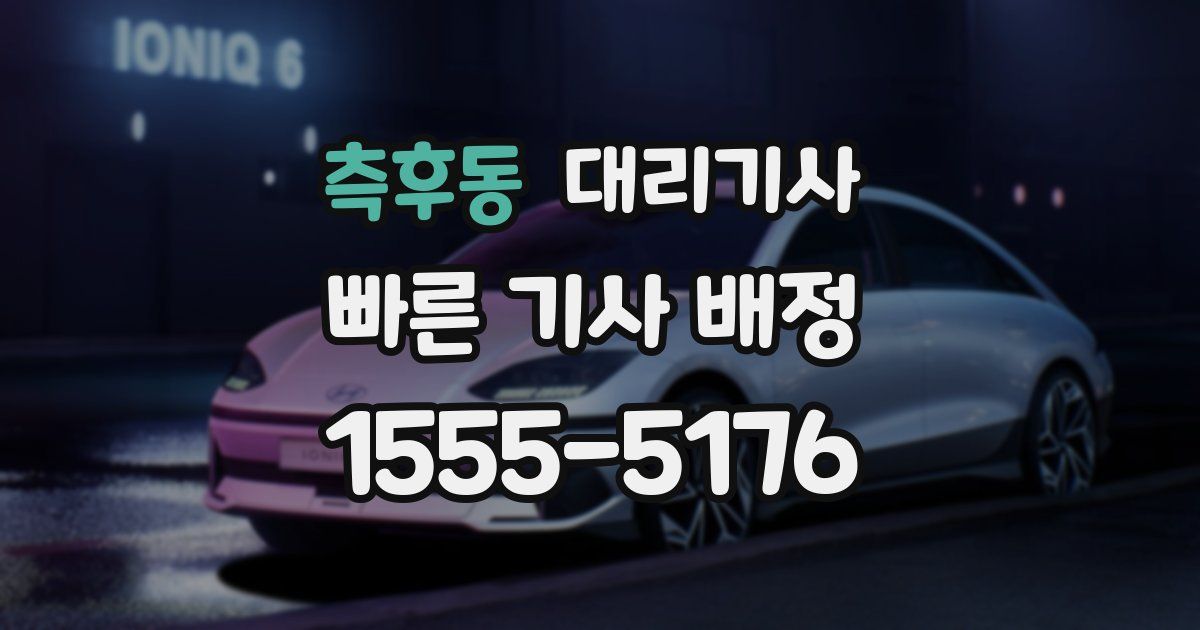측후동 대리기사
