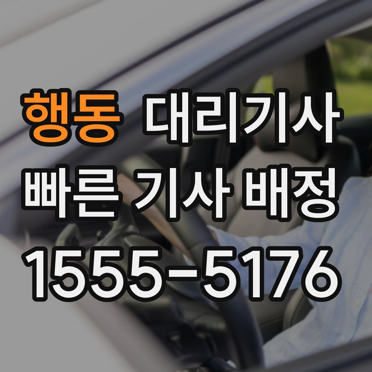 행동 대리기사